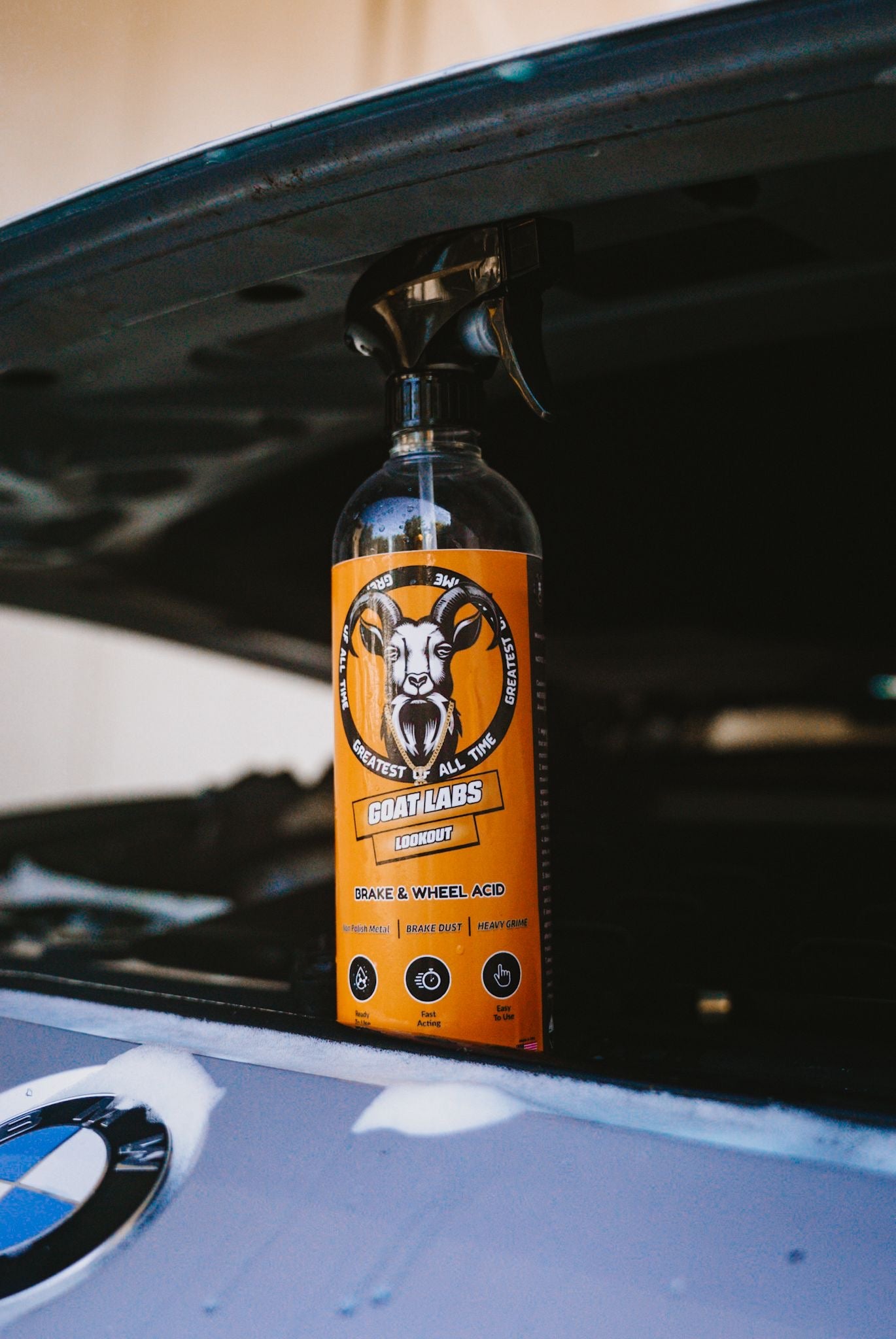 LookOut - Brake & Wheel Cleaning Acid by GoatLabs®