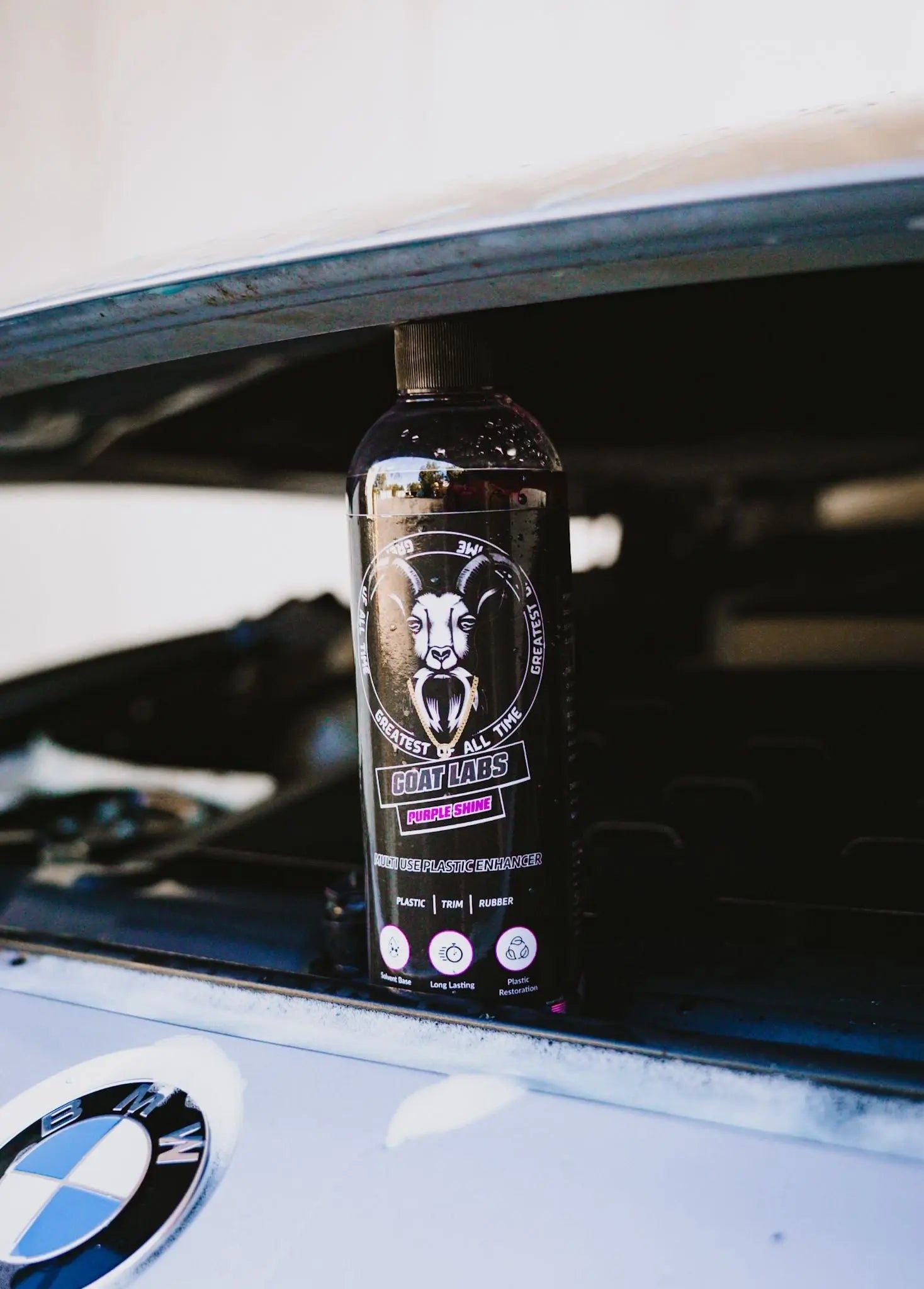 GoatLabs® Purple Plastic Shine Goat Lab